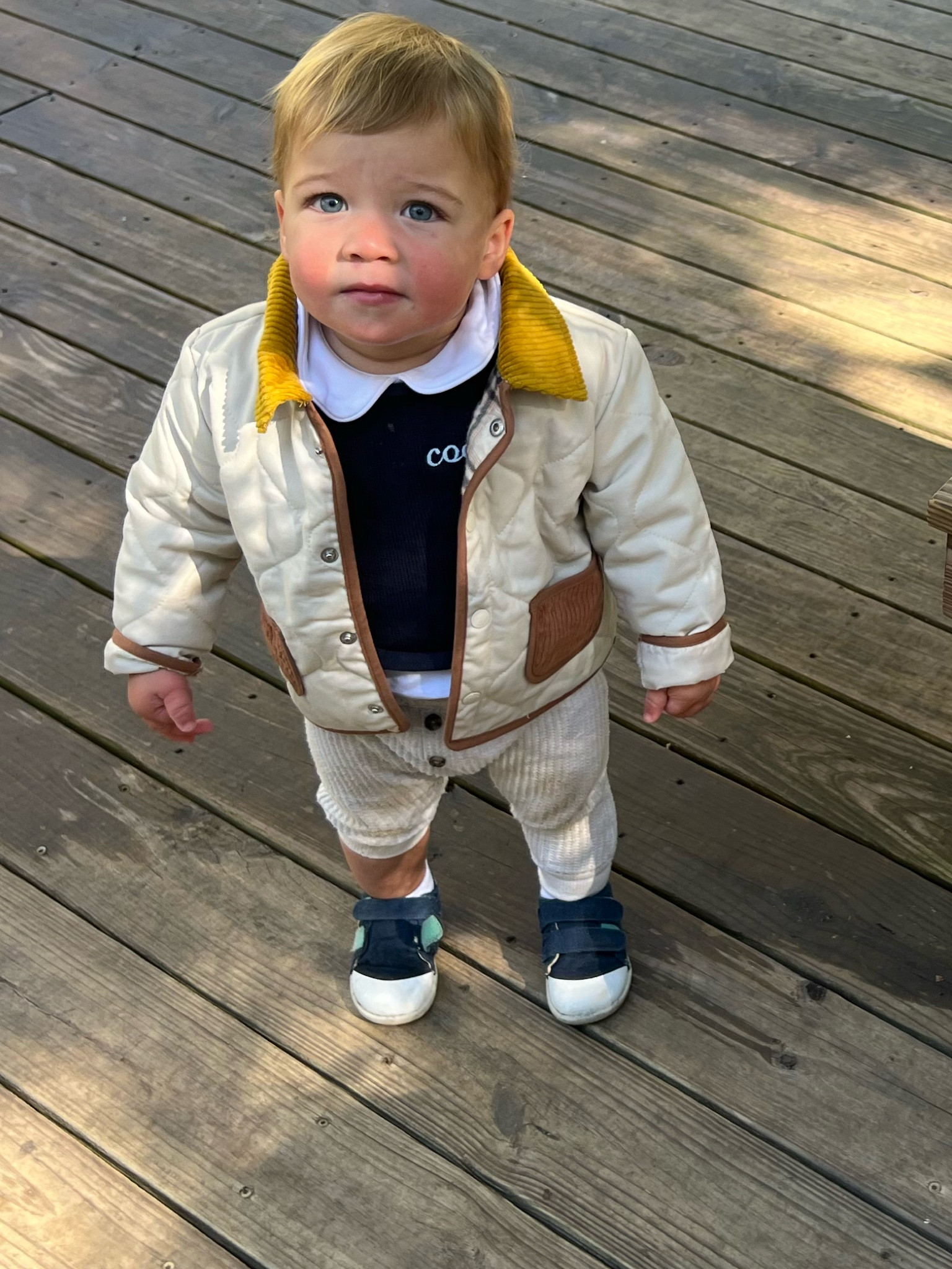 Toddler boy fall clothes

Fall clothes for toddler boys, toddler boy sneakers, boy jacket, toddler boy quilted jacket 

#LTKKids #LTKBaby