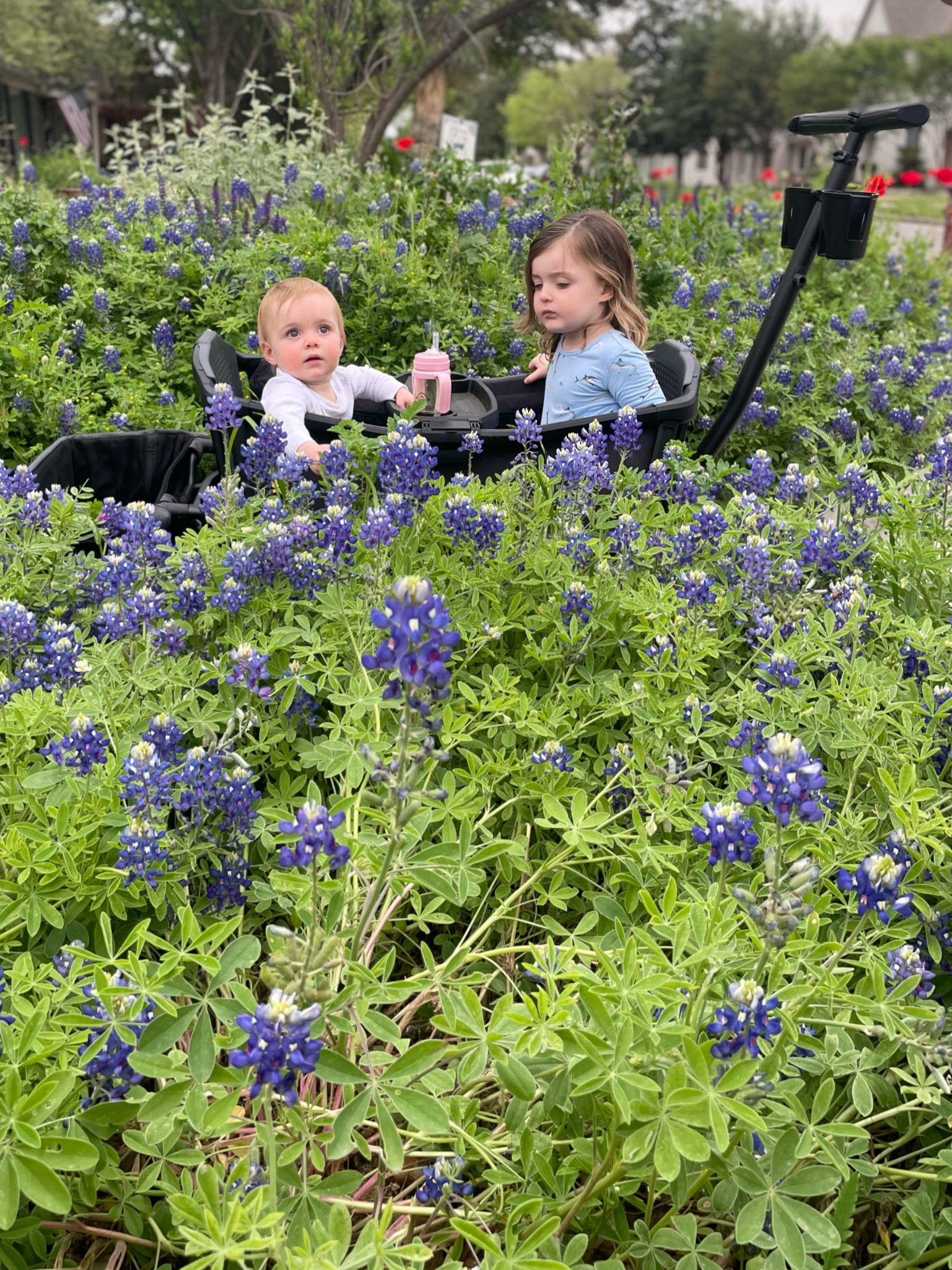 Wagon rides before bedtime

#LTKbaby #LTKfamily #LTKkids