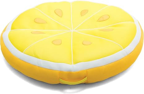 Big Joe Pool Float | Amazon (US)
