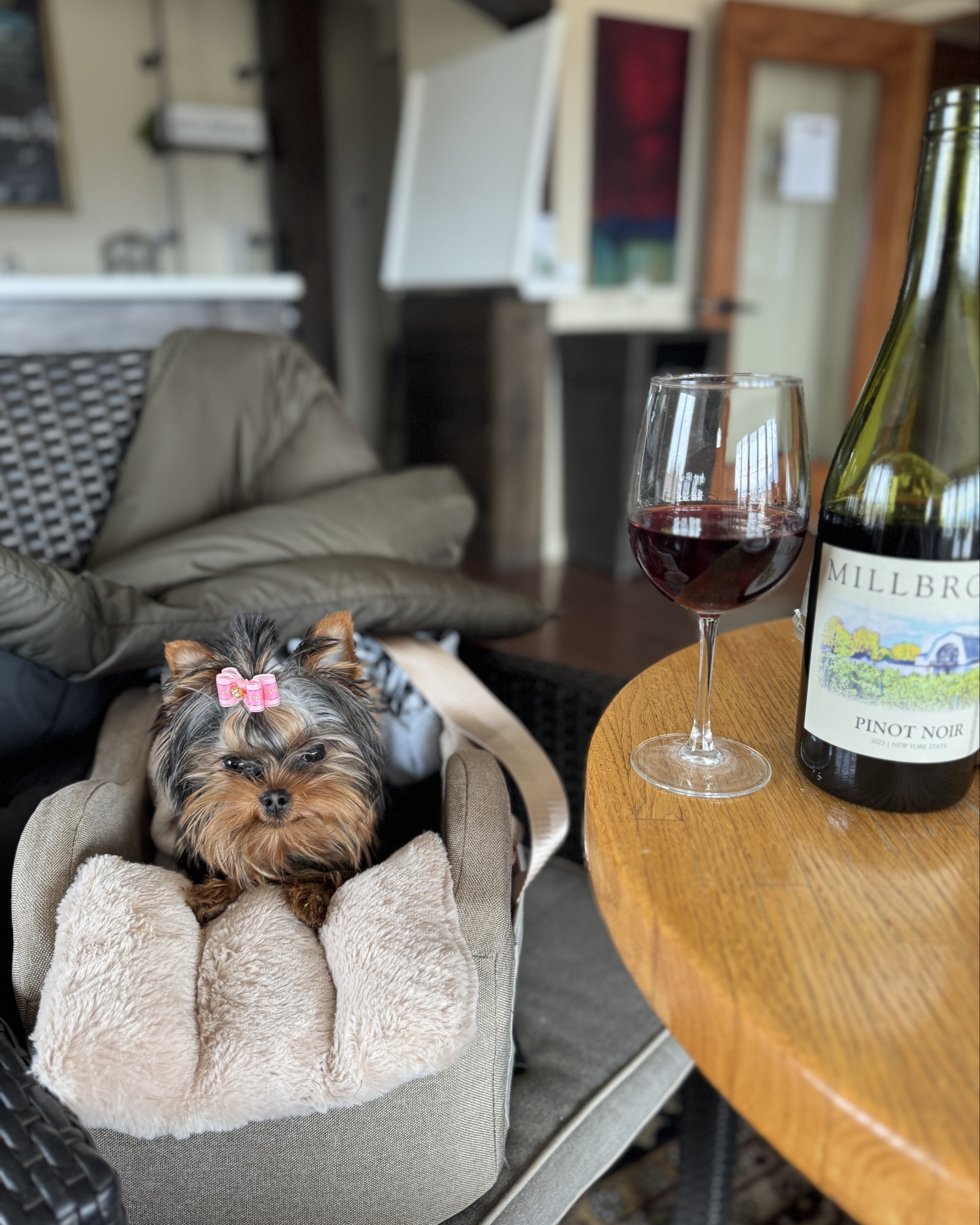 Ive lived this car seat ever since mommy picked me up in Va. it also serves as a carrier and high chair for when wine tasting.

#LTKFindsUnder50 #LTKStyleTip