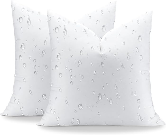 Artscope 22x22 Outdoor Pillow Inserts, Synthetic Down Waterproof Throw Pillow Inserts (Pack of 2)... | Amazon (US)