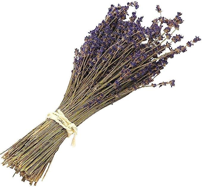 Natural Dried Lavender Bundles - Freshly Harvested Lavender Bunch Royal Velvet Decorative Flowers... | Amazon (US)