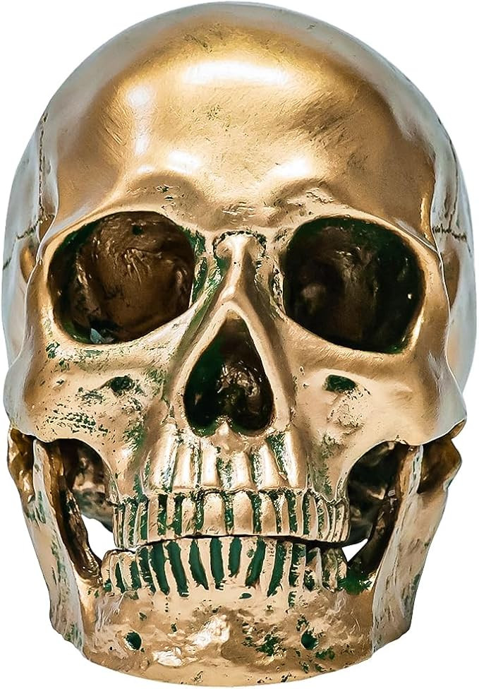 ECYC 1:1 Resin Human Skull Model Halloween Props Home Decorations High Fidelity Skull Head Sculpt... | Amazon (US)