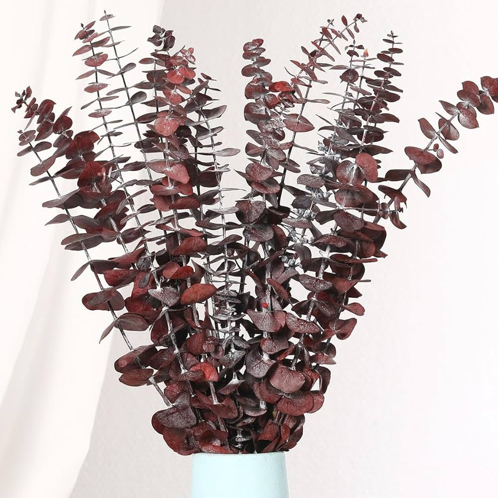 20 PCS Dried Eucalyptus Stems, 17'' Natural Real Live Red Eucalyptus Leaves Branches Hanging Show... | Amazon (US)