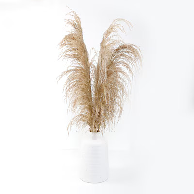 Origin 21 40-in Matte White/Natural Indoor Artificial Pampas Grass Flowers | Lowe's