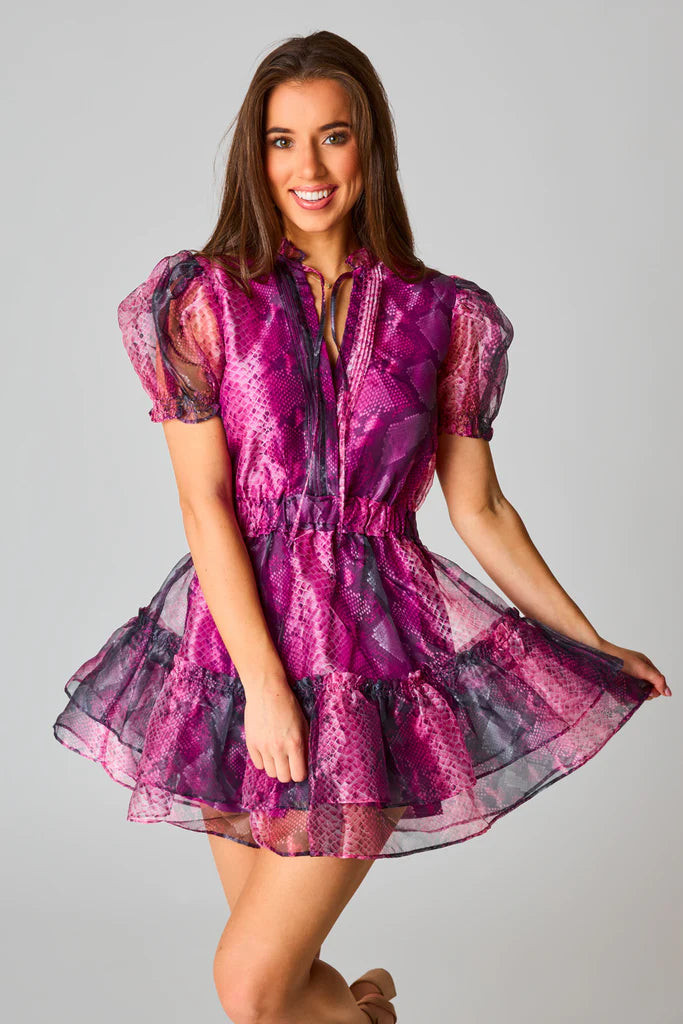 CLEMENTINE JAFAAR | HARRINGTONS