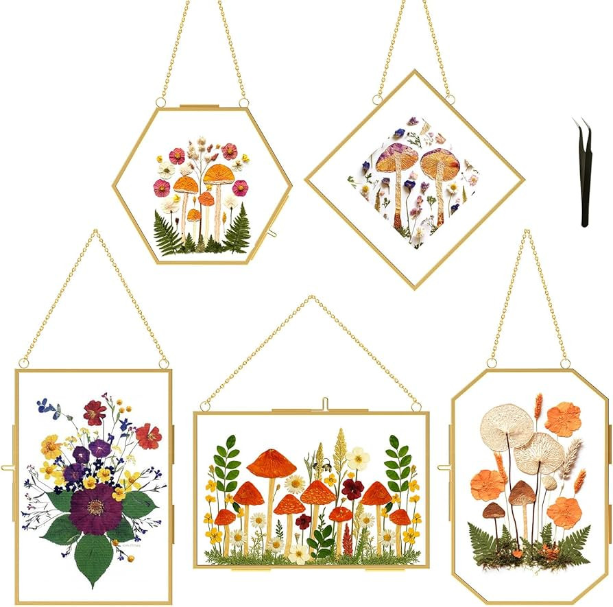 BABUFINE Pressed Flower Frames with Tweezers, Wall Hanging Double Glass Picture Frames with Chain... | Amazon (US)