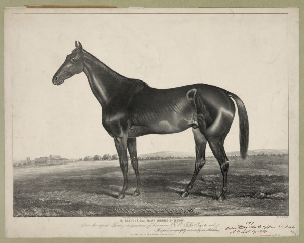 Print: Wild Irishman, 1854 - Walmart.com | Walmart (US)