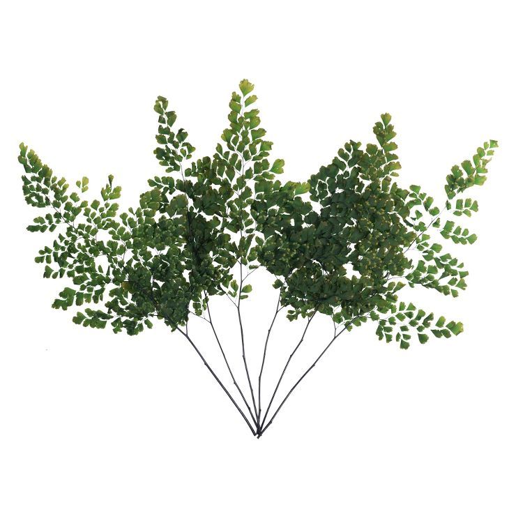 Vickerman 6-10" Oasis Green Fern - Adianthum - Petite Variety, 6 stems, Preserved | Target