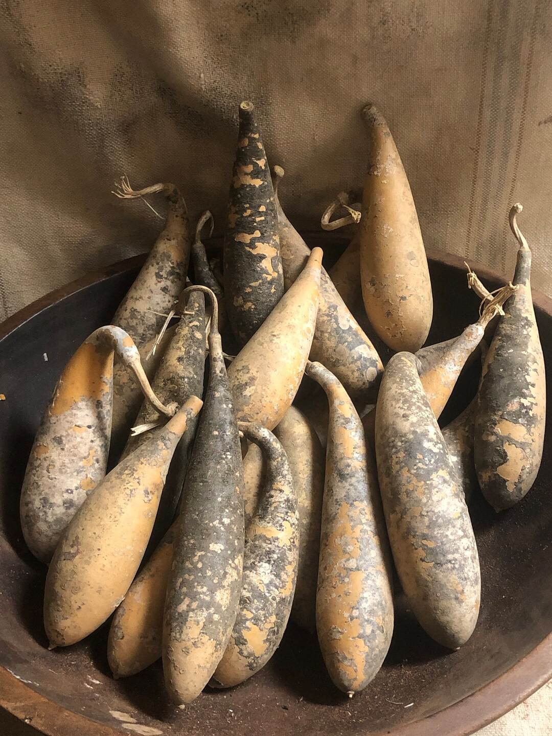 Small Primitive Dried Banana Gourds Set of 3,6,10,20 - Etsy | Etsy (US)