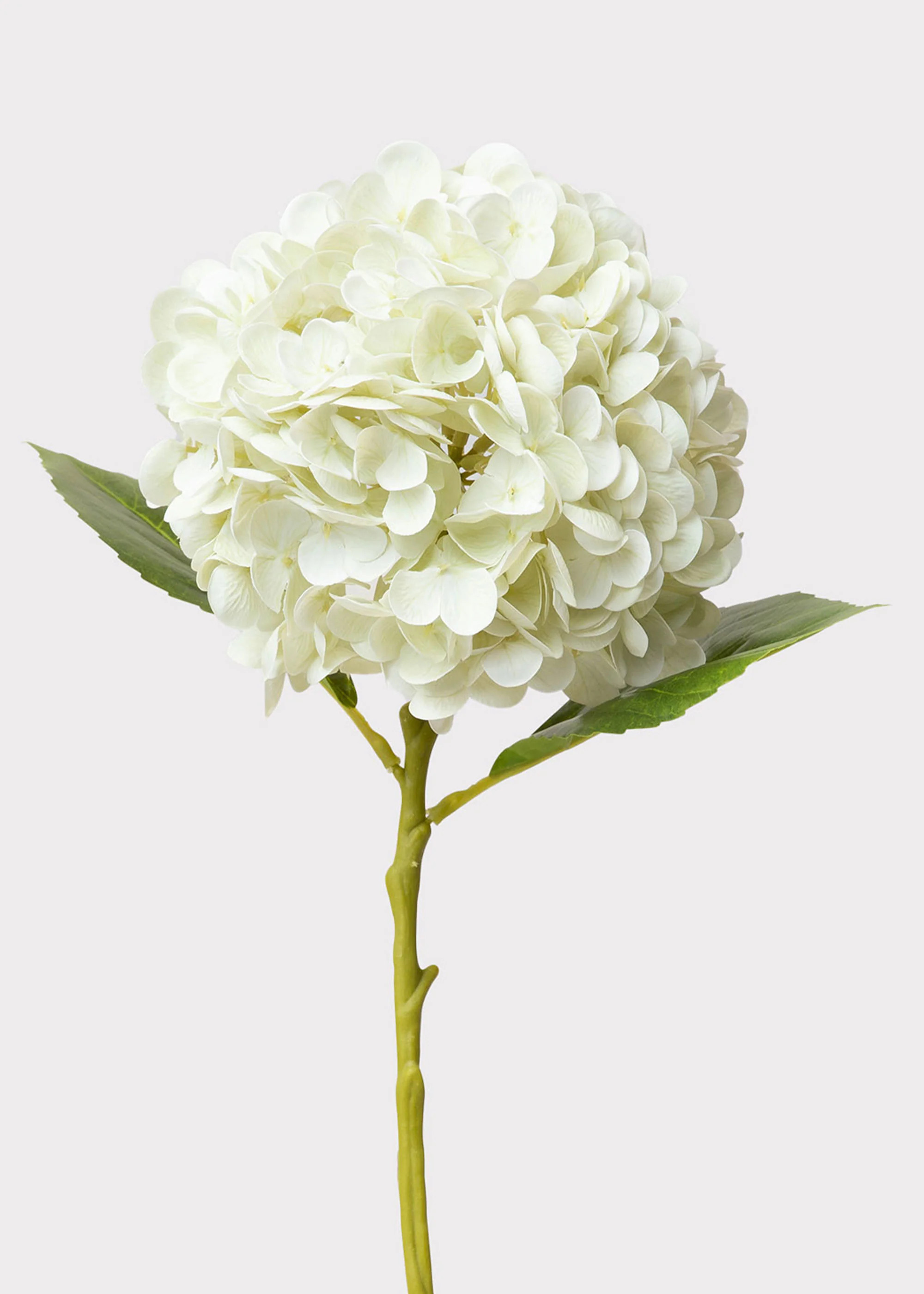 Faux Hydrangea in Cream White | Real Touch Flowers | Afloral | Afloral