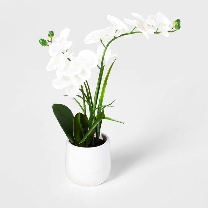 21" x 5" Artificial Orchid in Ceramic Pot White/Green - Threshold™ | Target