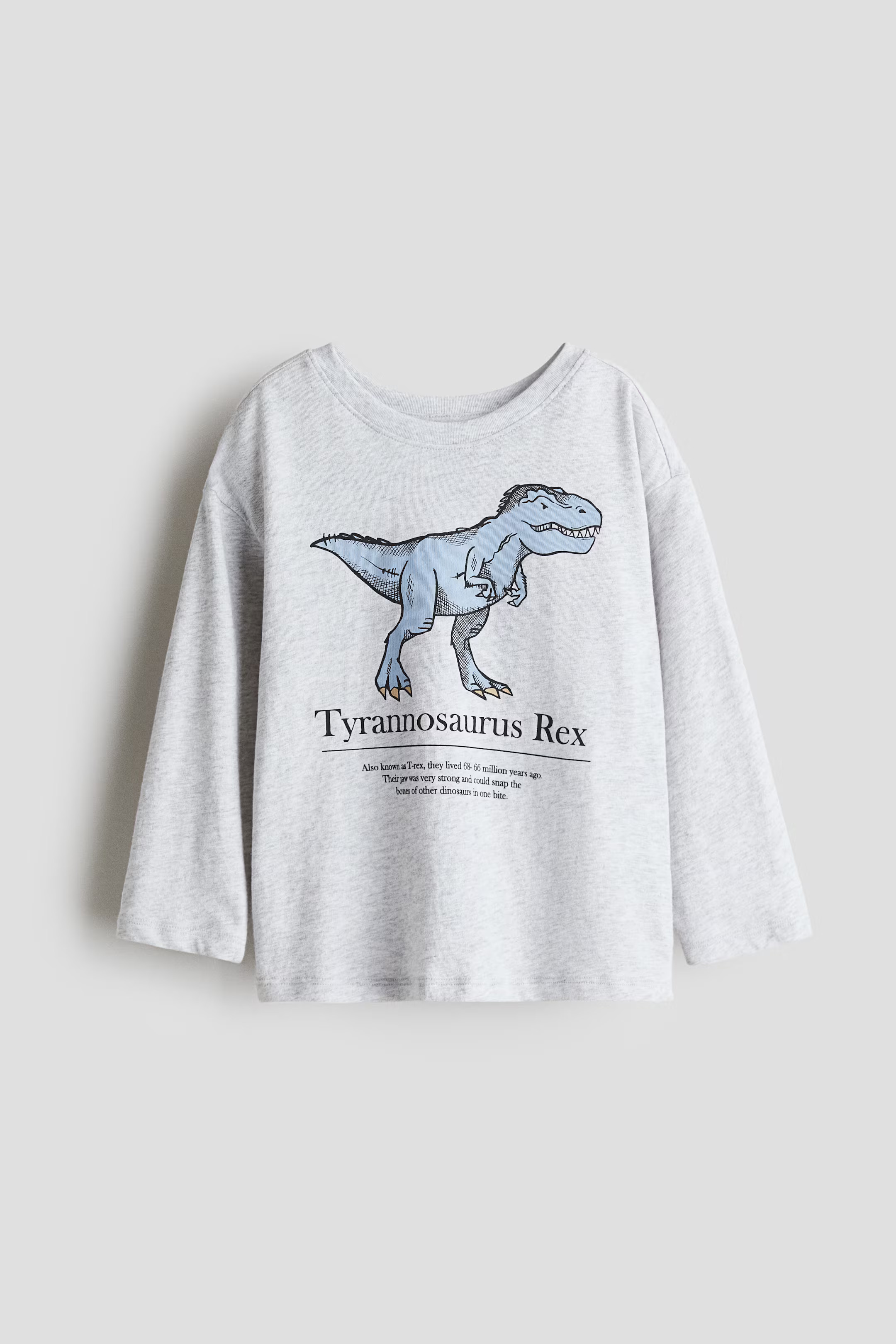 Cotton T-Shirt with Motif | H&M (US + CA)