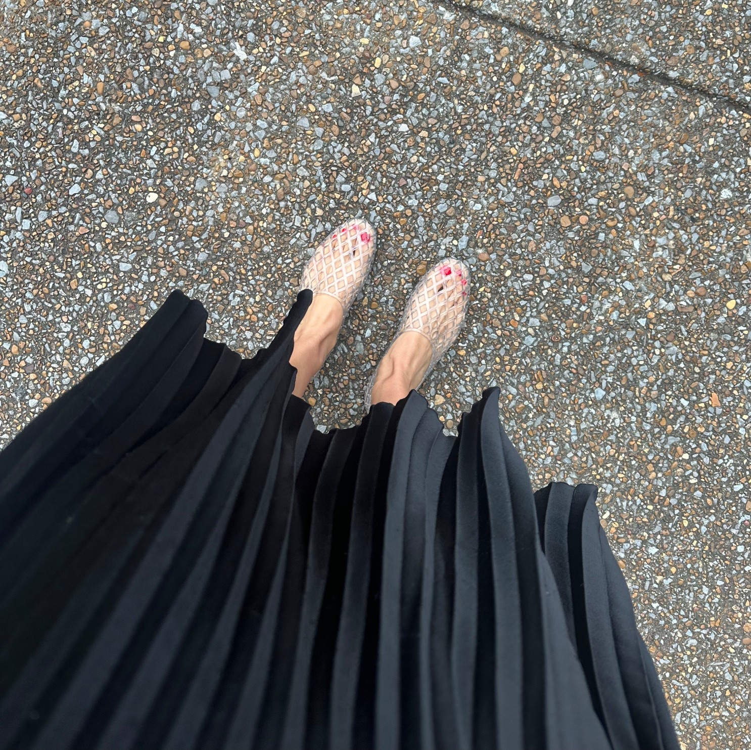 Still not over the fact that jellies are cool again
