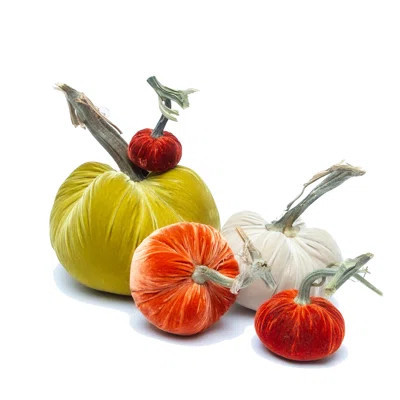 Silk Velvet Pumpkins - Large Autumn Set | Wayfair North America
