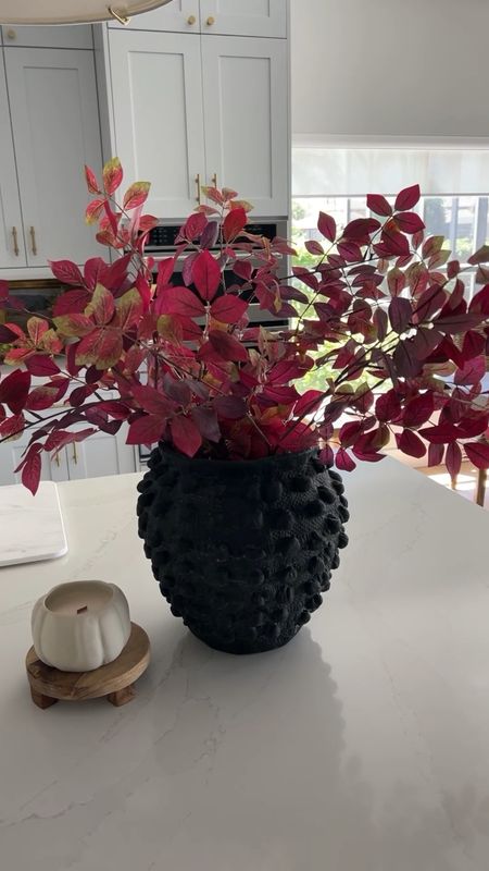 Target Fall Floral
Sharing another beautiful fall stem today. If you love the beautiful colors of fall, this stem is for you. 
Autumn florals, Fall Home Decor  

#LTKSeasonal #LTKhome #LTKfindsunder50