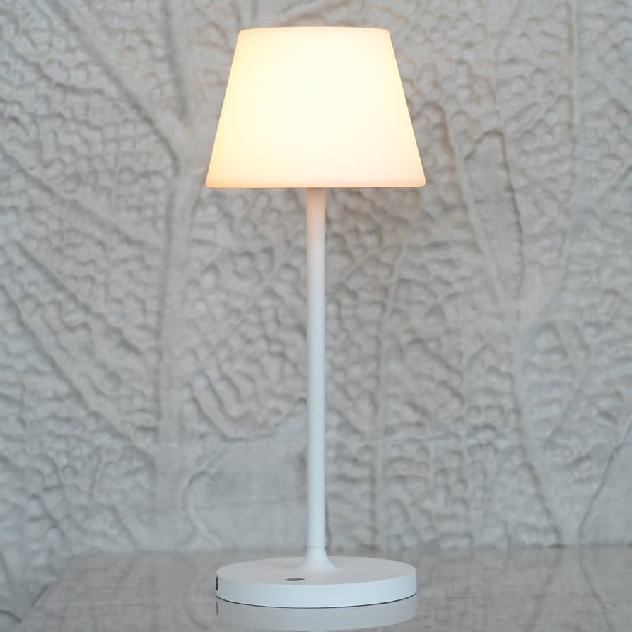 LOTITOL Outdoor Table Lamp/Cordless USB Rechargeable 4000mAh / 2700K LED/Touch Dimmable/Portable ... | Amazon (US)