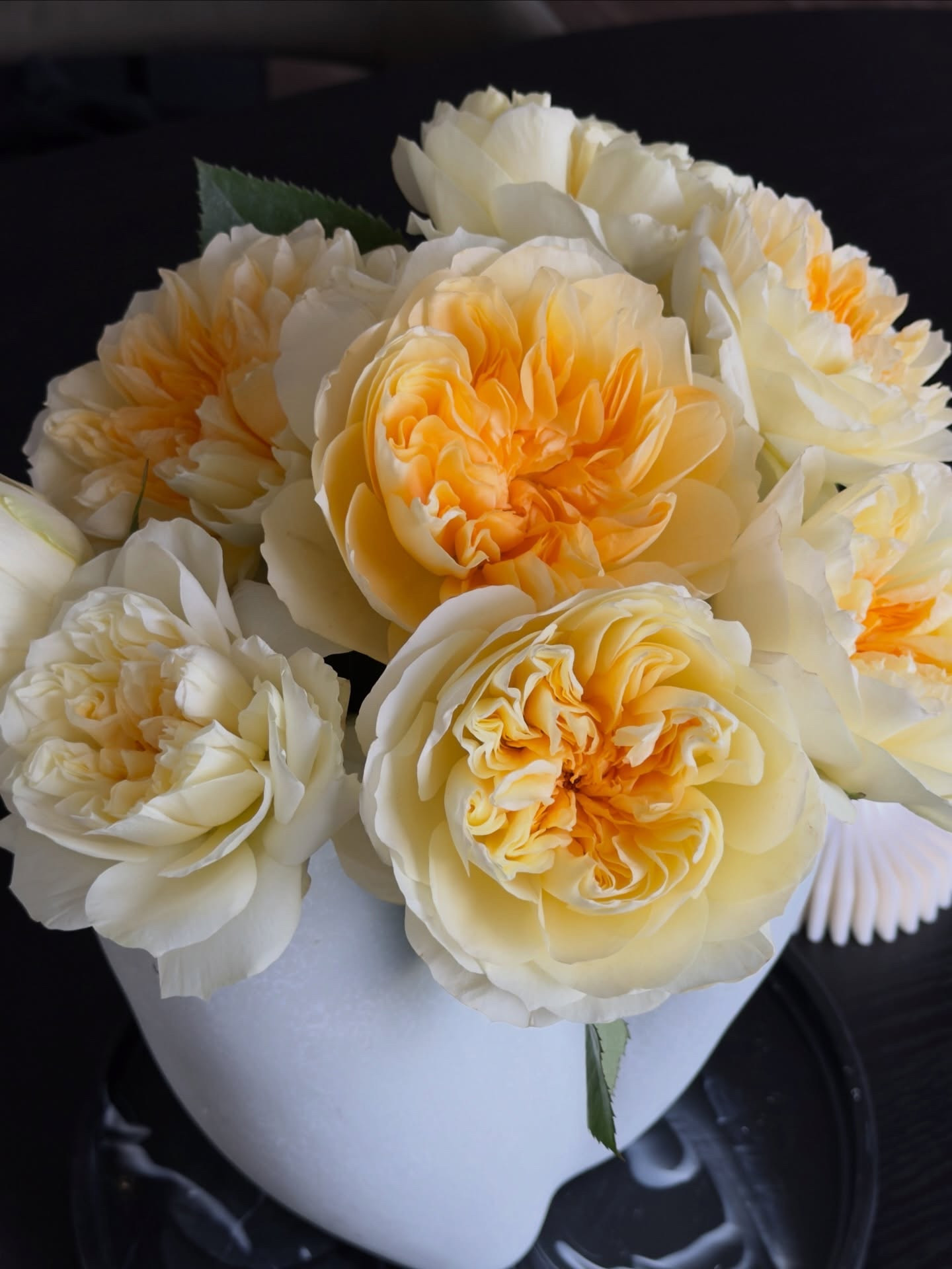 xoxo, Tay 💕

#LTKMidsize #LTKHome #LTKootd