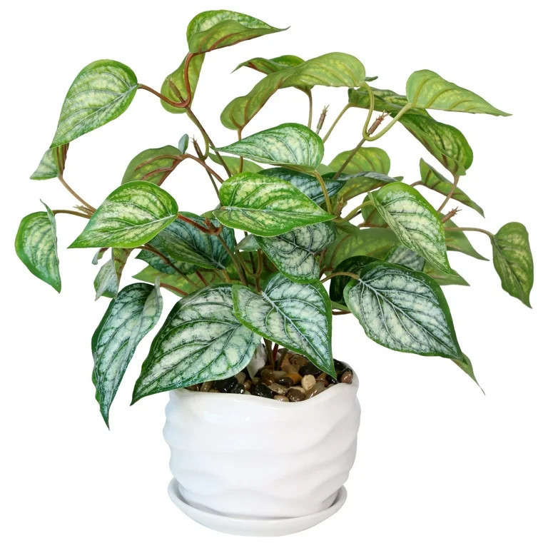 Mainstays 13.4" Artificial Argyreia Leaf Plant With Ceramic Pot in White | Walmart (US)