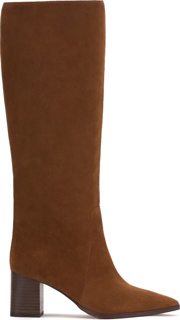 Lumina Pointed Toe Boot (Women) | Nordstrom