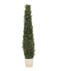 4ft Outdoor Safe Cypress Potted In Pot | TJ Maxx