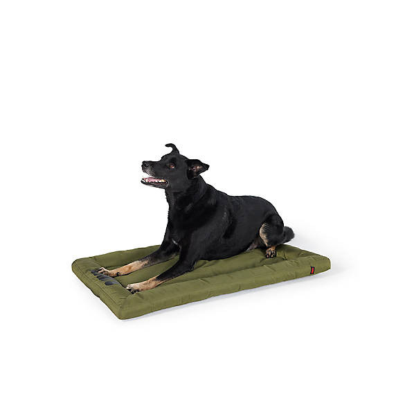 KONG® Durable Crate Dog Mat | PetSmart