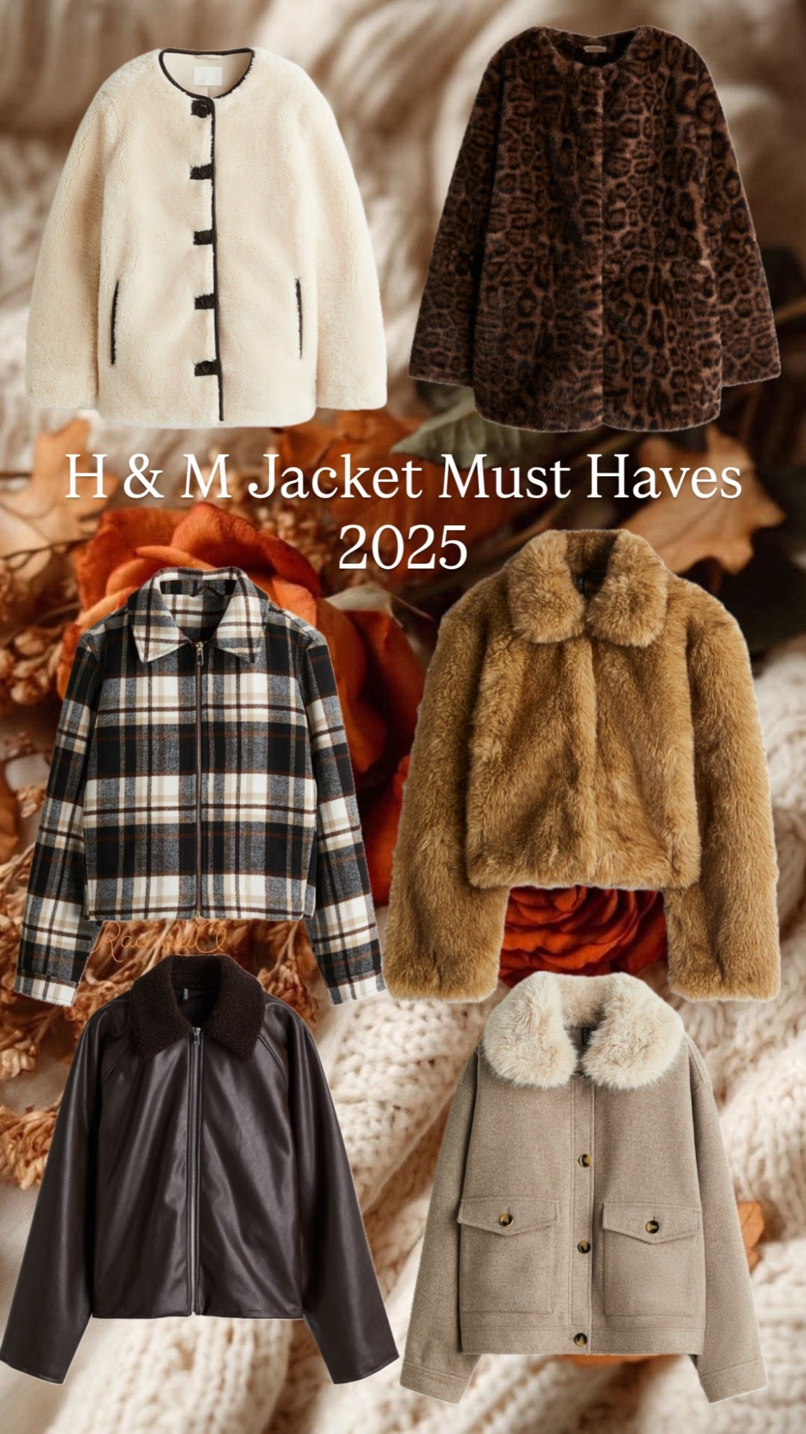 H&M Jackets 2025 

#LTKU #LTKStyleTip #LTKSeasonal