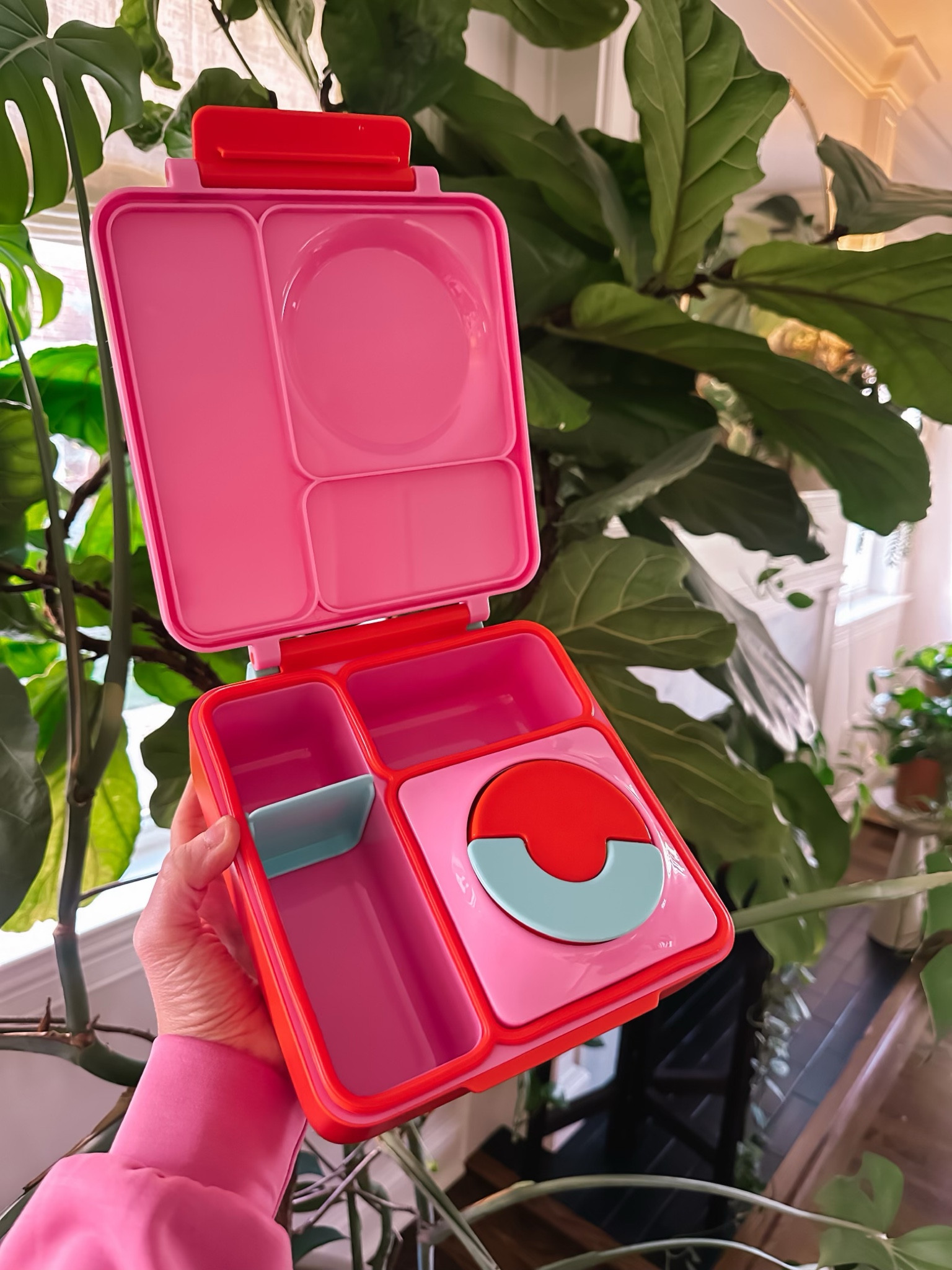 For this bento box for Nora and we are loving it! It’s going to be perfect for picnics or traveling!

Toddler finds, amazon finds, summer essentials, spring essentials, travel essentials, toddler travel finds 

#LTKbaby #LTKkids #LTKfamily