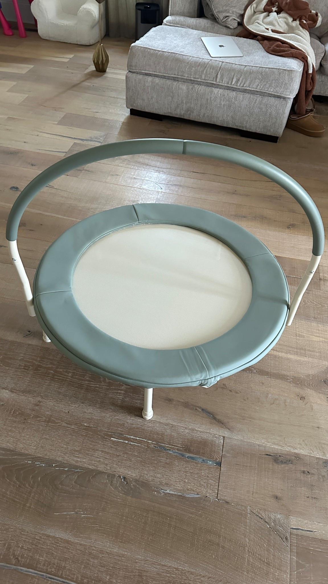 Toddler trampoline on Black Friday sale 

#LTKKids #LTKCyberWeek #LTKSaleAlert