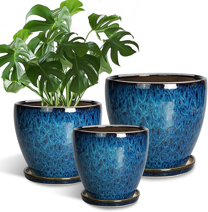 Plant Pots Indoor, Ceramic Planters Pots with Drainage Holes and Saucers, 10+8+6 Inch, Set of 3, ... | Amazon (US)