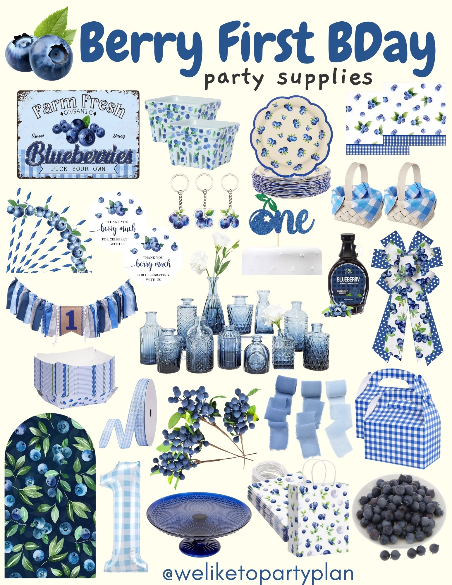 Blueberry First Birthday Party Supplies 🫐💙🫐

#LTKKids