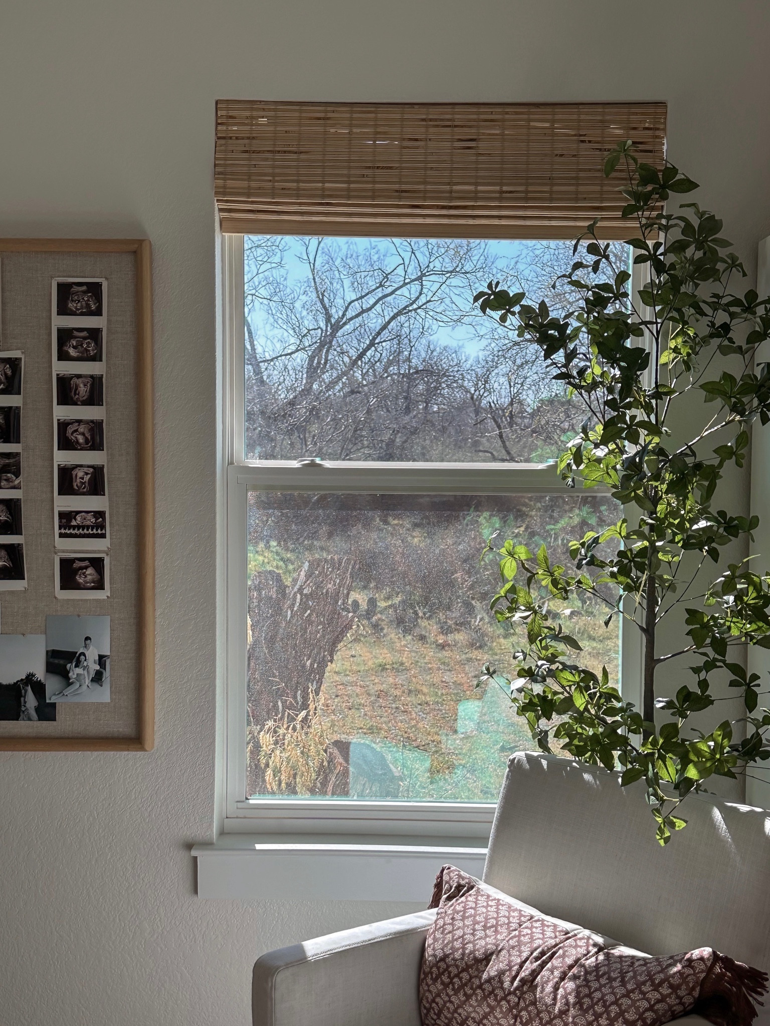 Affordable Amazon shades! 

#LTKfindsunder50 #LTKhome #LTKfindsunder100