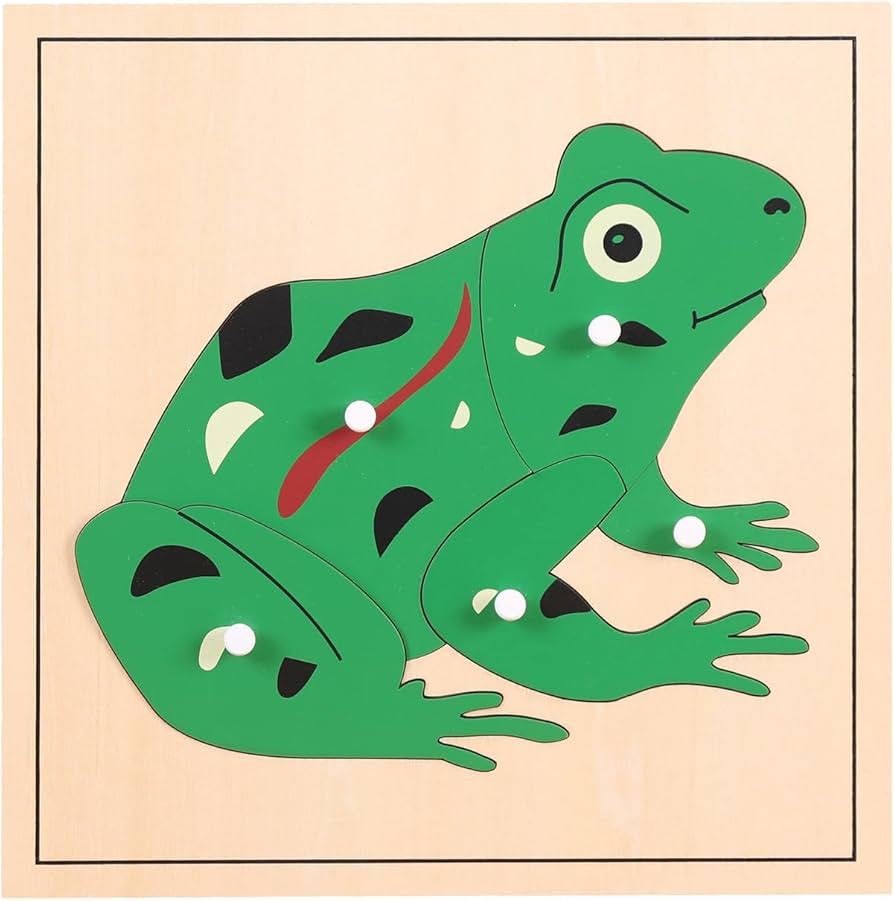 MONTESSORI OUTLET Nature Materials Frog Puzzle Early Preschool Learning Toys for 3-12 Year Old Ki... | Amazon (US)