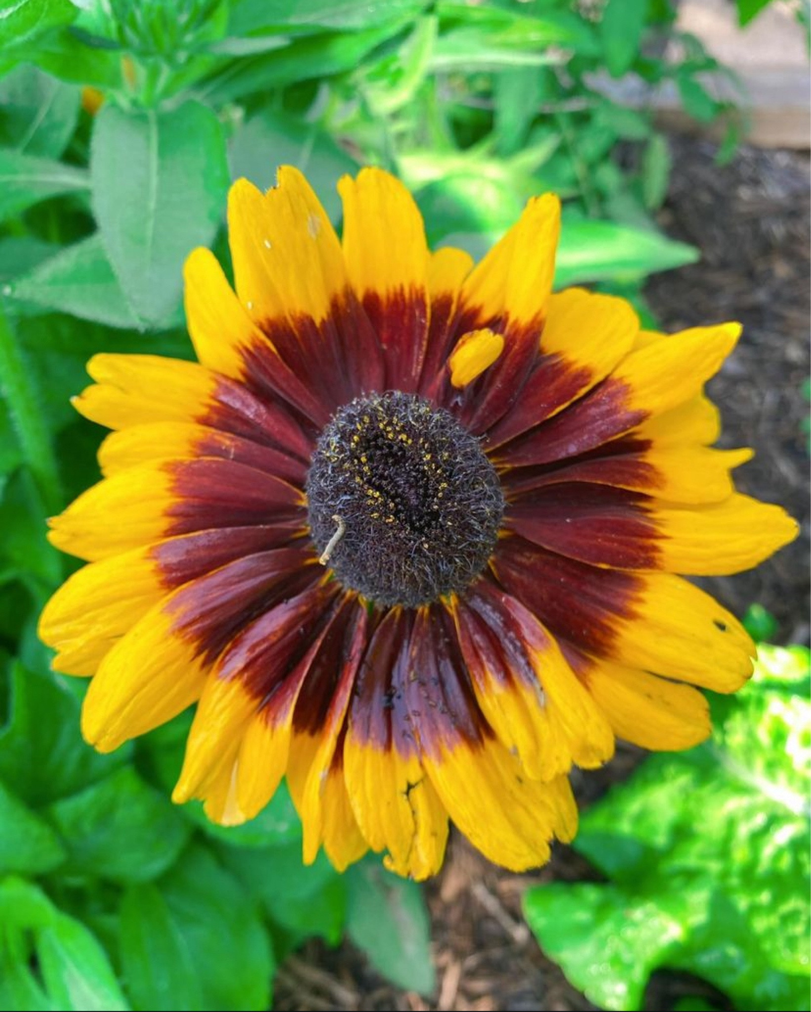 Your best you!
We swear by these products to keep us radiant and rested!

#LTKBeauty #LTKOver40