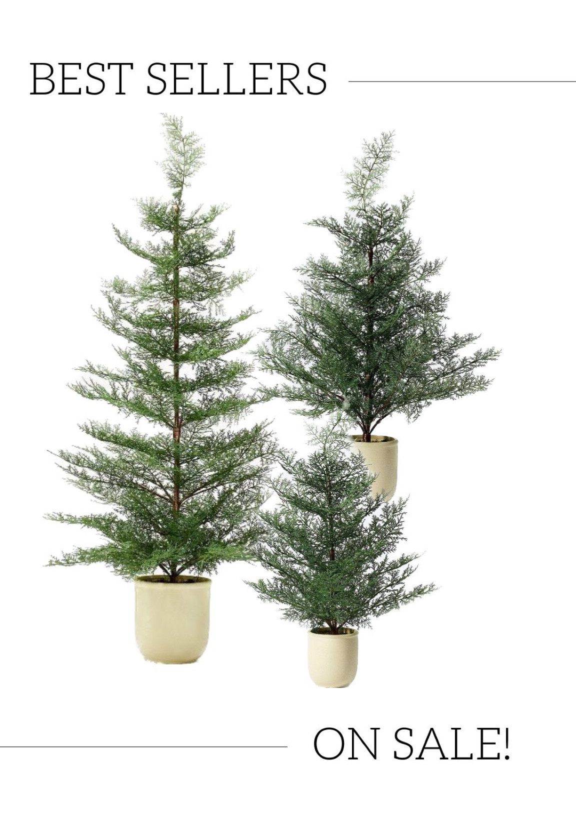 18 Snowy Mini Pine Trees with Tin … curated on LTK