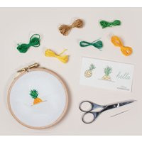 Hello Pineapple - Easy Embroidery Kit | Etsy (US)
