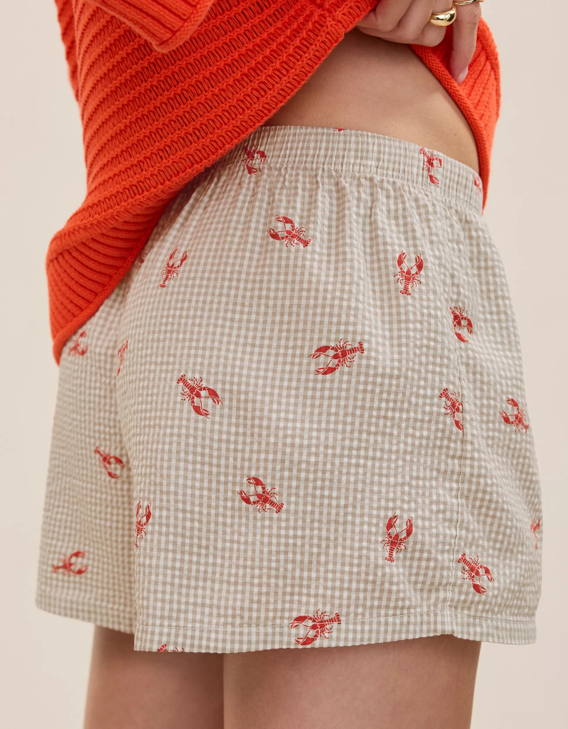 Aerie Around Town Seersucker Boxer | Aerie