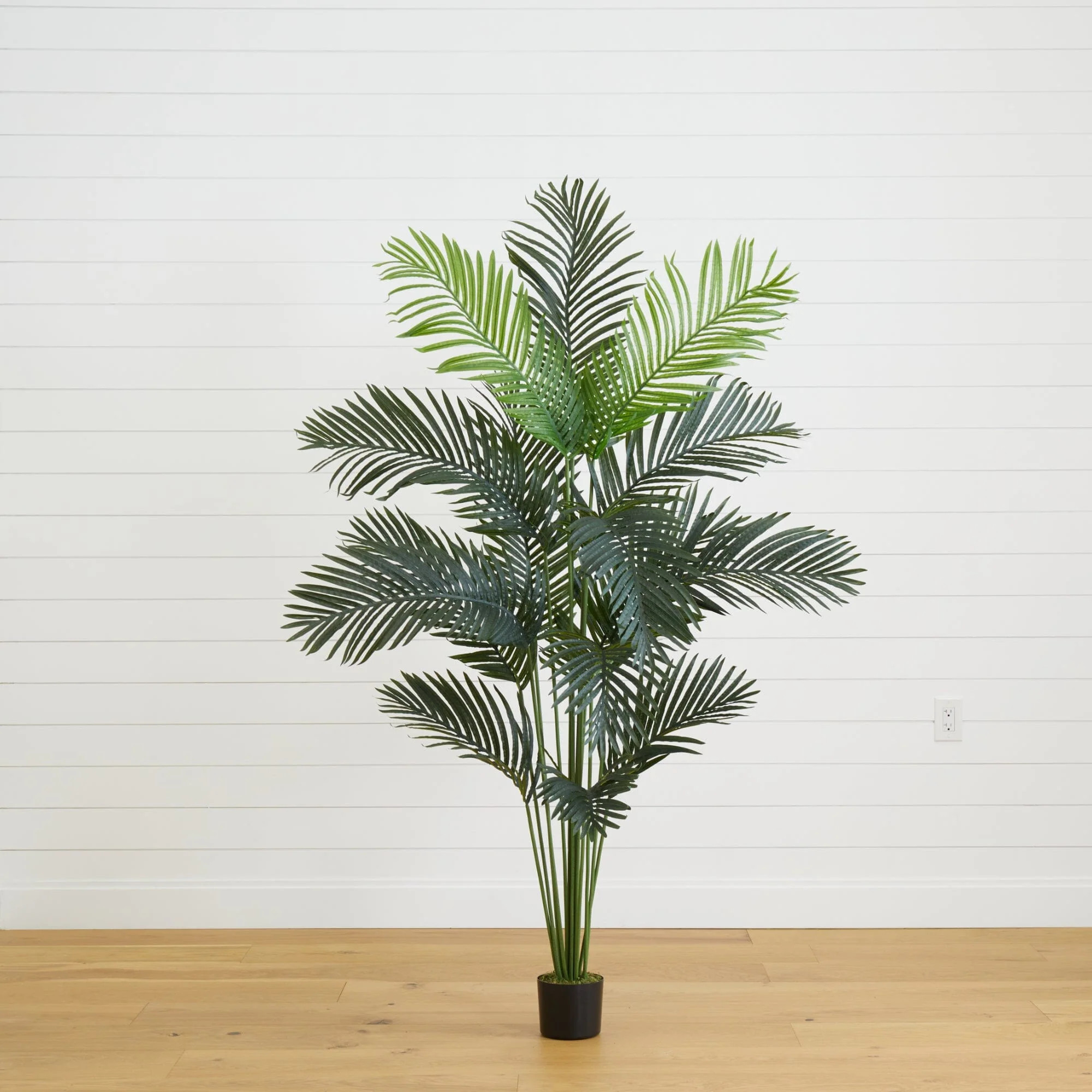 6\u2019 Artificial Paradise Palm Tree | Nearly Natural | Nearly Natural