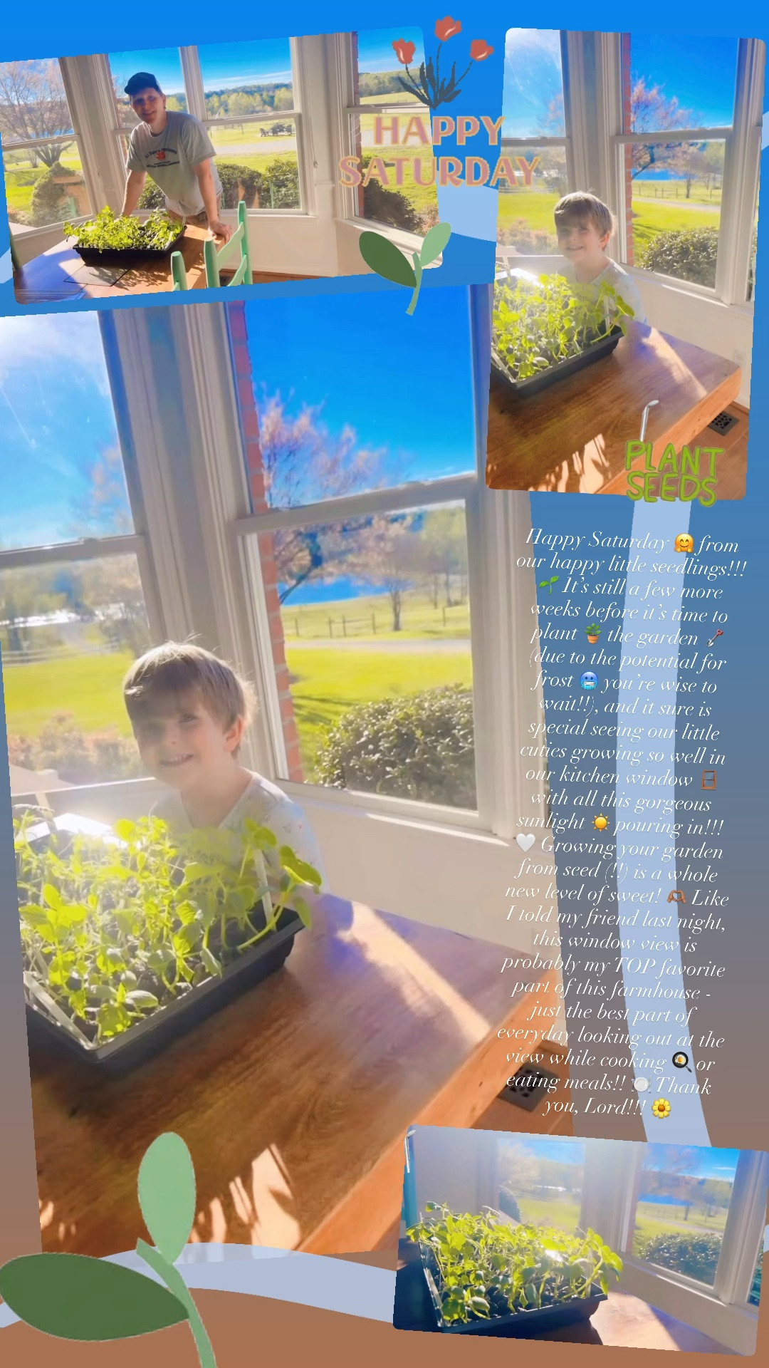 Happy Saturday 🤗 from our happy little seedlings!!! 🌱 It’s still a few more weeks before it’s time to plant 🪴 the garden 🪏 outside (due to the potential for frost 🥶 you’re wise to wait!!), and it sure is special seeing our little cuties growing so well in our kitchen window 🪟 with all this gorgeous sunlight ☀️ pouring in!!! 🤍 Growing your garden from seed (!!) is a whole new level of sweet! 🫶🏽 Like I told my friend last night, this window view is probably my TOP favorite part of this farmhouse - just the best part of everyday looking out at the view while cooking 🍳 or eating meals!! 🍽️ Thank you, Lord!!! 🌼