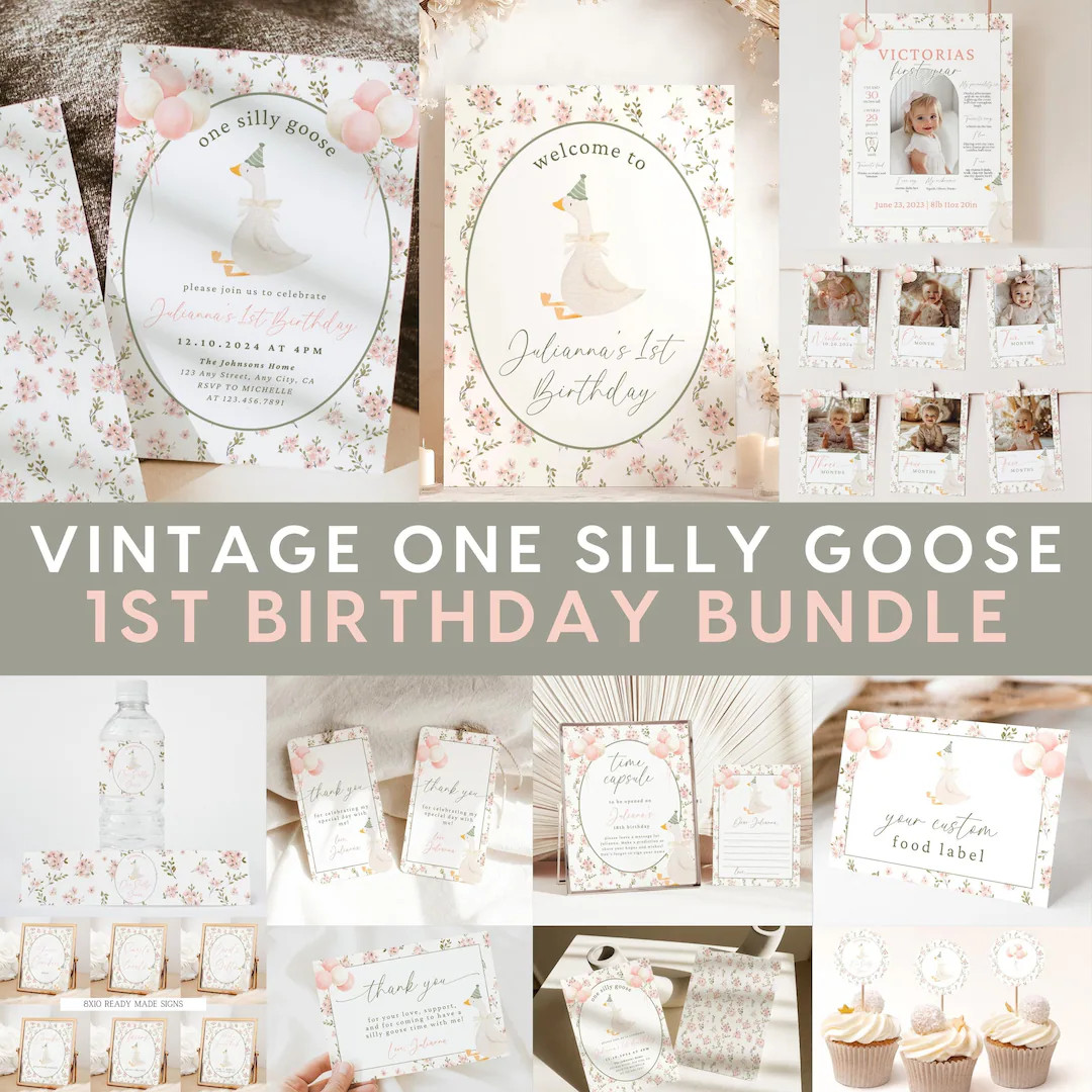 One Silly Goose First Birthday Bundle, Vintage Floral Goose Invite First Birthday Bundle, Pink Gr... | Etsy (US)