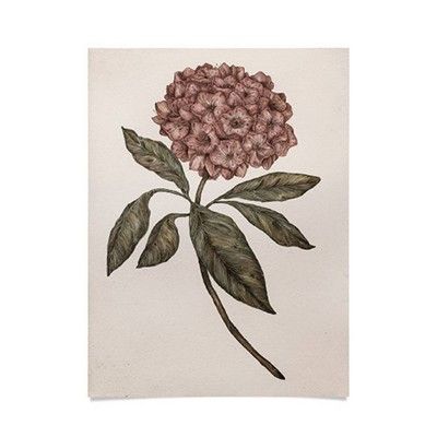 Jessica Roux Mountain Laurel Unframed Wall Poster Print Pink - Threshold™ | Target
