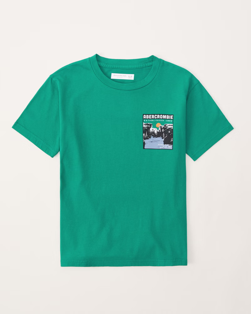 imagery logo graphic tee | Abercrombie & Fitch (US)