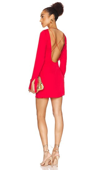 Leda Mini Dress in Bright Red | Revolve Clothing (Global)