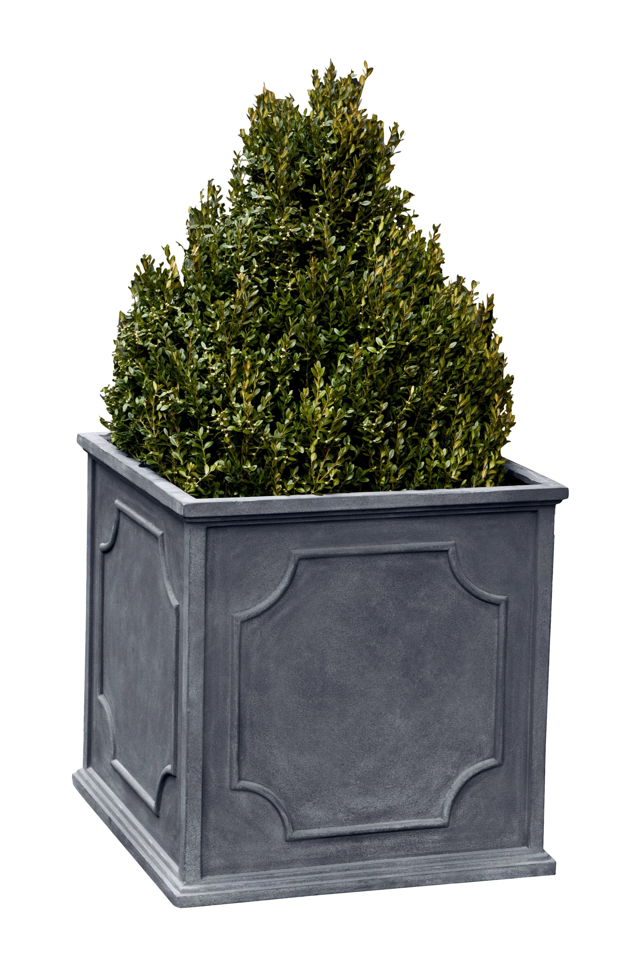 Cumberland Fiberglass Planter Box | Wayfair North America