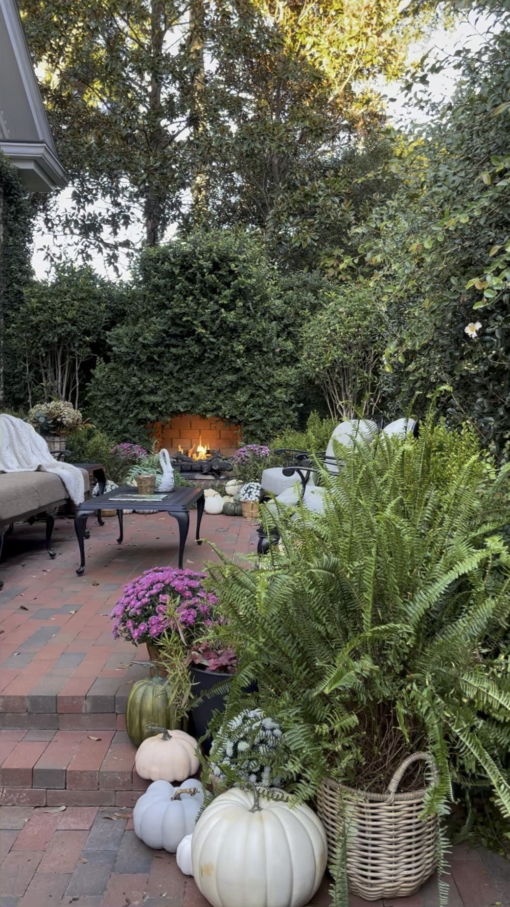 Fall in the courtyard

#LTKSeasonal #LTKhome #LTKstyletip