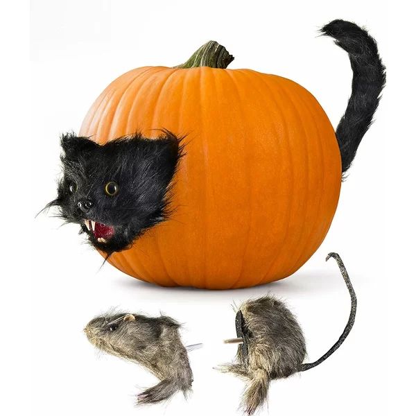 Halloween Creepy Scary Cat and Furry Rat Heads and Tails Spooky Pumpkin Prop Decor Fun and Creepy... | Wayfair North America