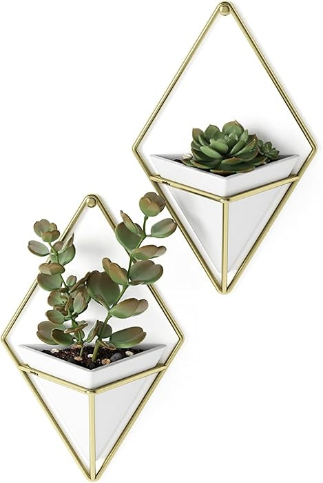 Umbra Trigg Hanging Planter Vase Wall Decor, Set of 2 Pots Containers for Succulents, Cactus, Fau... | Amazon (US)