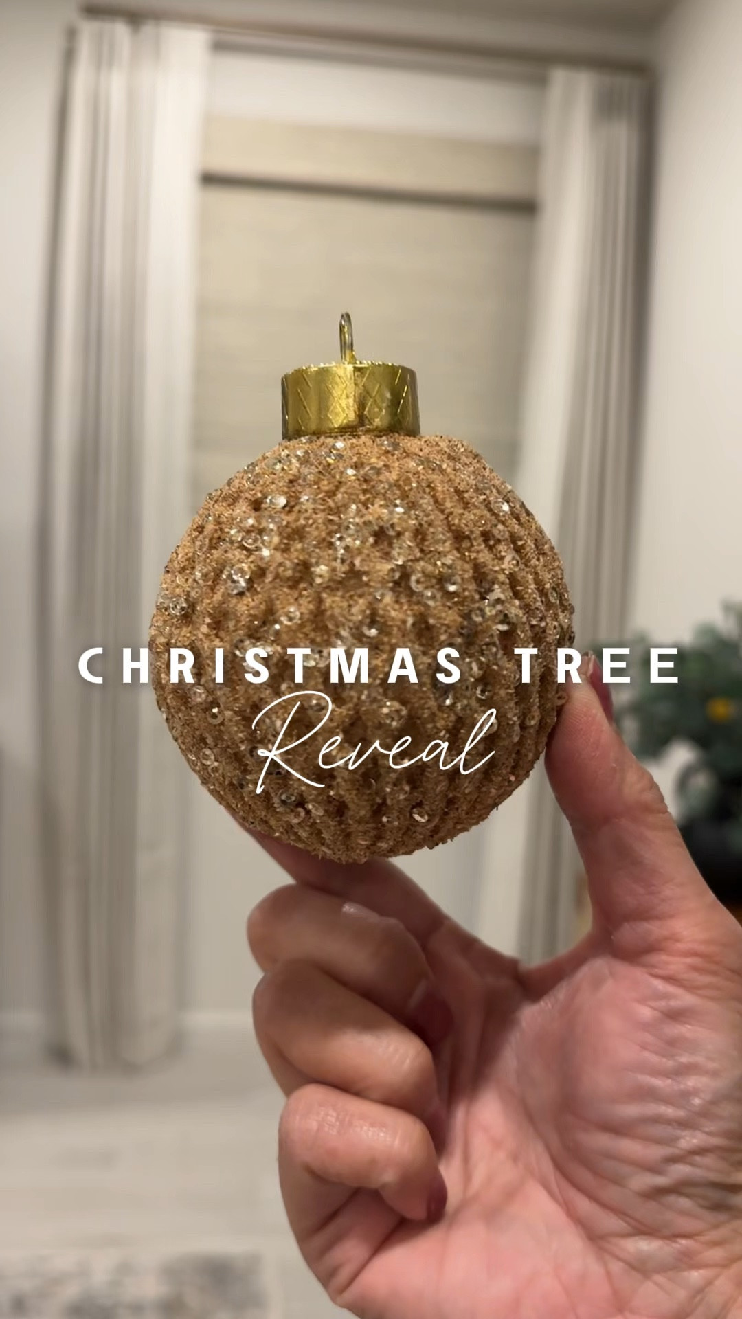 New house. New tree. ✨ Obsessed with our new Christmas tree decor 😍 We’re so excited to spend our first Christmas in our new home!

Christmas tree, Christmas tree decorating, holiday decor, trim the tree, viral tree, twinkling lights

#LTKHome #LTKSeasonal #LTKHoliday