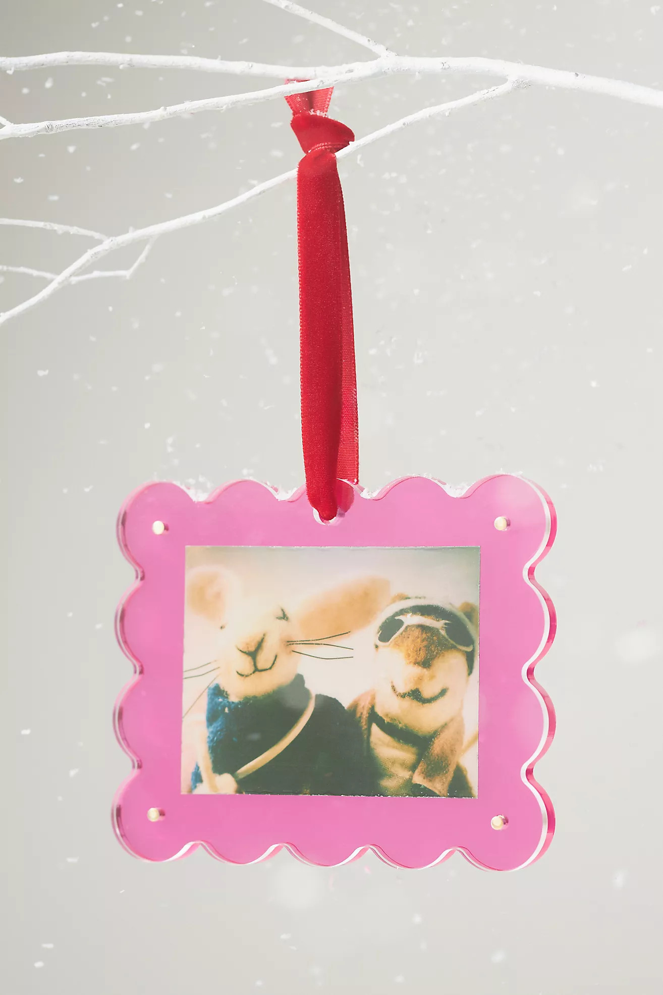 Pink Acrylic Picture Frame Ornament | Anthropologie (US)