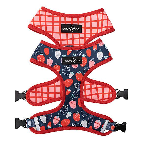 Lucy & Co. Berry Cute Reversible Dog Harness | PetSmart